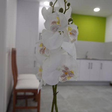 Apartamento Sanin 3 Lumbrales Eksteriør billede