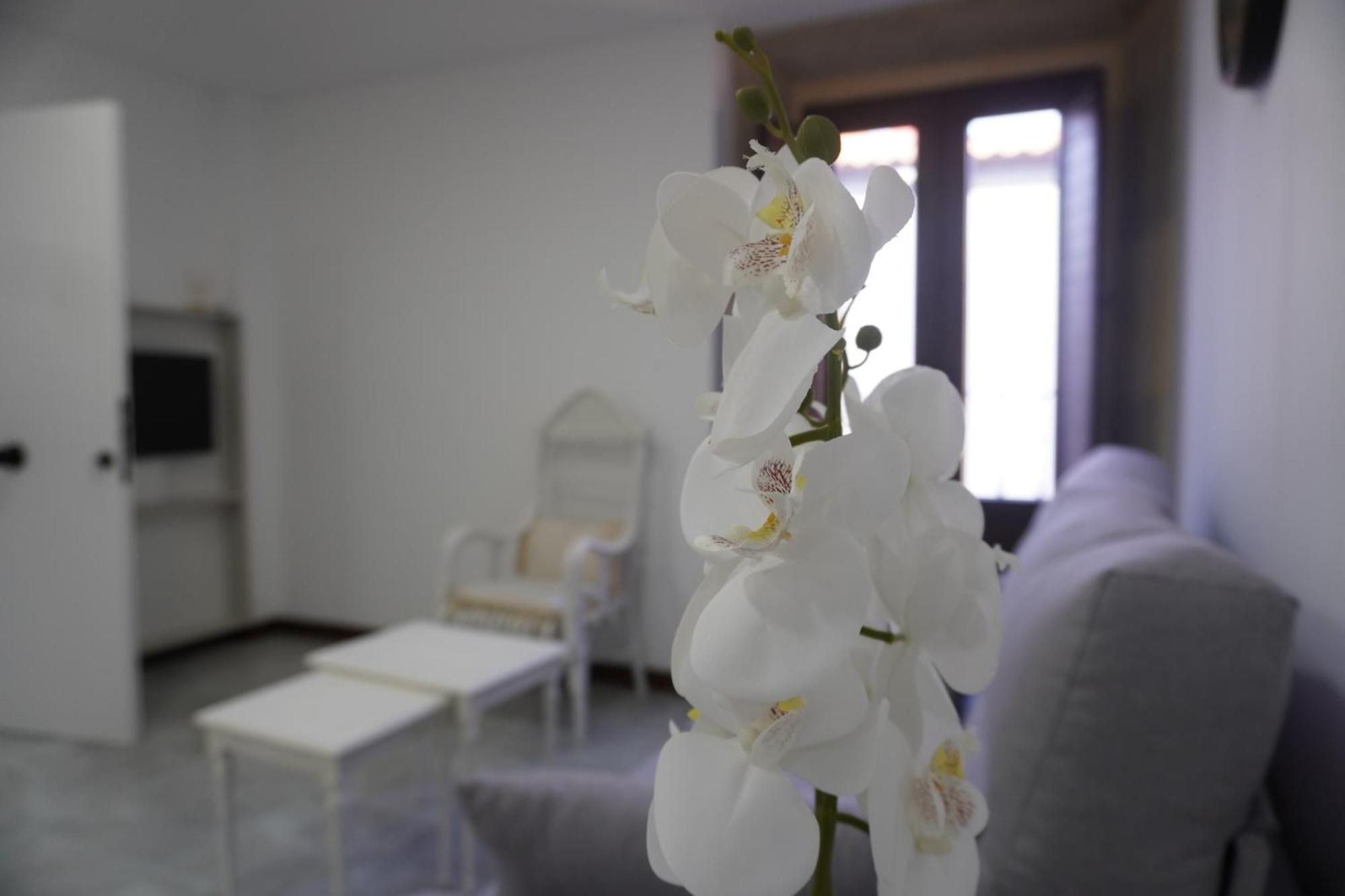 Apartamento Sanin 3 Lumbrales Eksteriør billede